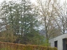 HelMar-Bl1 P1010721.JPG