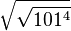 \sqrt{\sqrt{101^4}}